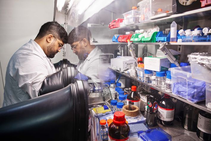 A researcher processing sensitive substances with glove boxes