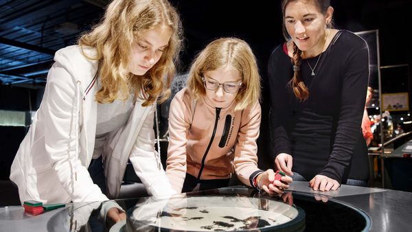 Photo of girls with a flair for technology of the mentoring programme Swiss TecLadies.