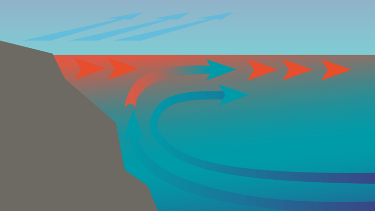 Wenn Passatwinde im Golf von Panama das warme Küstenwasser aufs Meer hinausschieben, strömt aus 300 bis 400 Metern Tiefe kühles, nährstoffreiches Wasser nach.