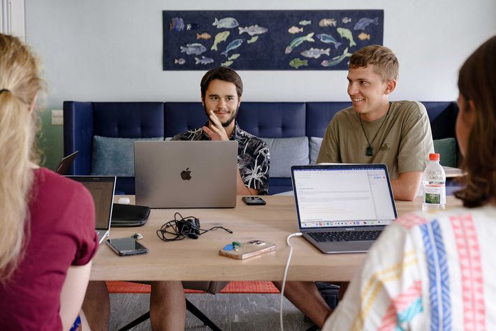 A team of students working on their laptops